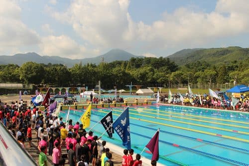水泳大会の活動風景